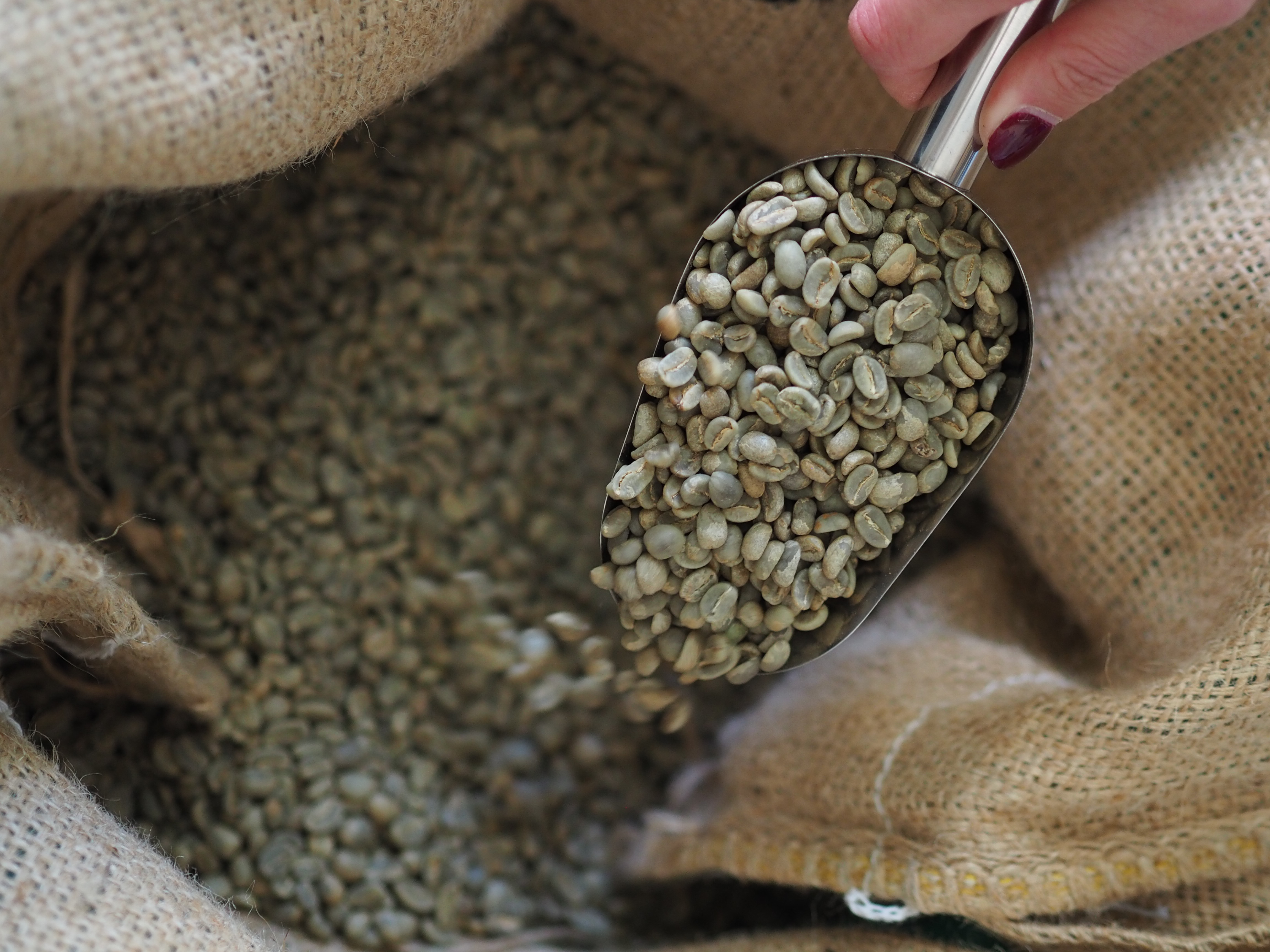 Kopie souboru P5054112